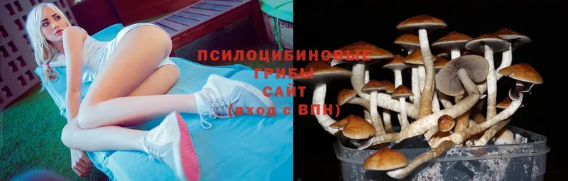 Псилоцибиновые грибы MAGIC MUSHROOMS  наркота  Игарка 